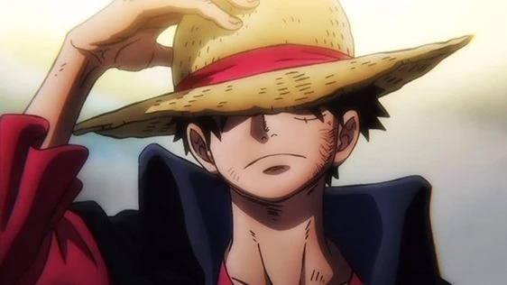 Pirate king luffy