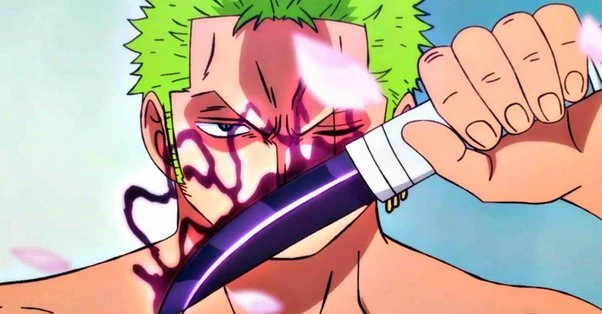 zoro/s armament haki