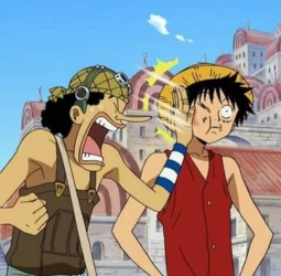 usopp and luffy