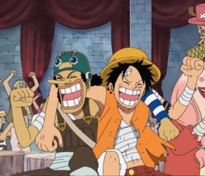 relation with luffy