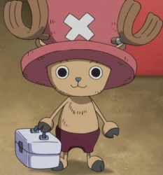 Tony Tony Chopper as the ship doctor