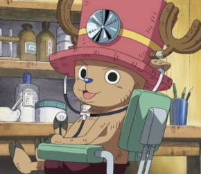 Tony Tony Chopper ship doctor