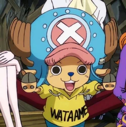 the essential member of the strawhat pirates